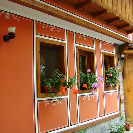 קופריבשטיצה Guest House Todorini Kashti מראה חיצוני תמונה