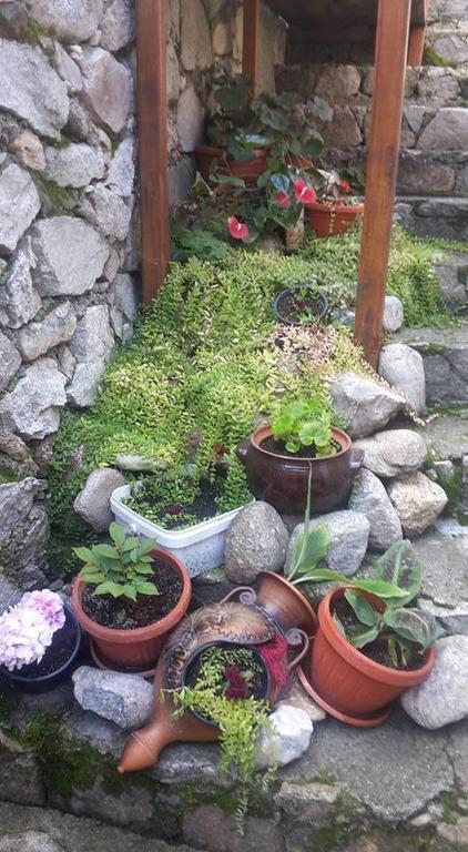 קופריבשטיצה Guest House Todorini Kashti מראה חיצוני תמונה