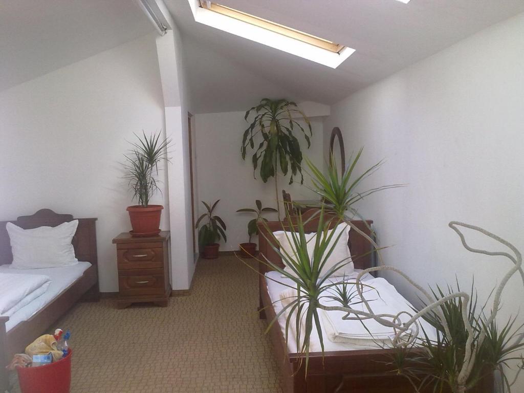 קופריבשטיצה Guest House Todorini Kashti חדר תמונה
