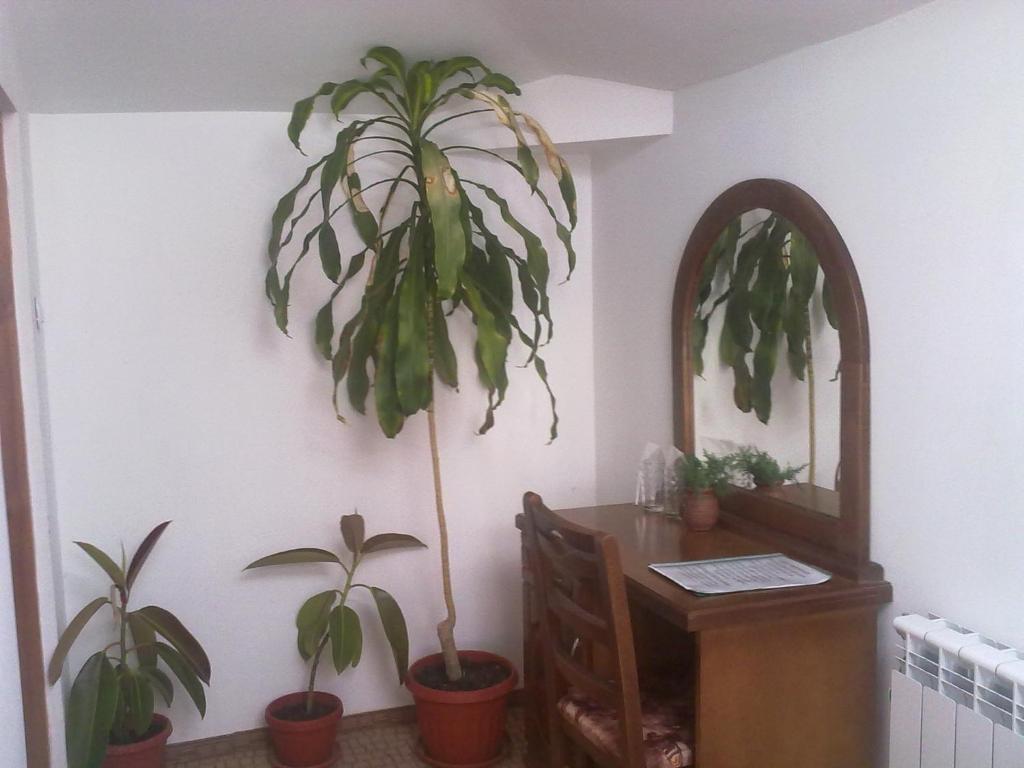קופריבשטיצה Guest House Todorini Kashti חדר תמונה